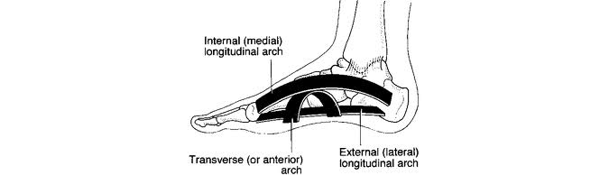 Spring mechanism of the arch of the foot. It hurts when I run